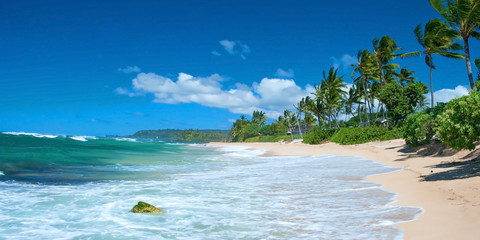 Untouched sandy beach with palms trees and azure ocean in backgr