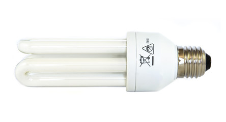Bulb isolated on white