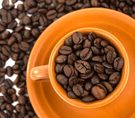 cup of coffee beans