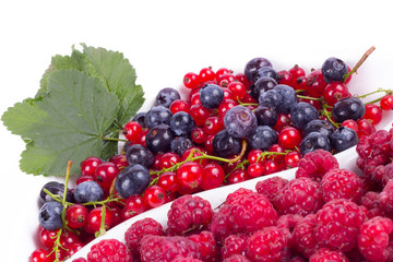 fresh fruits isolated on white