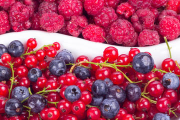 fresh fruits isolated on white