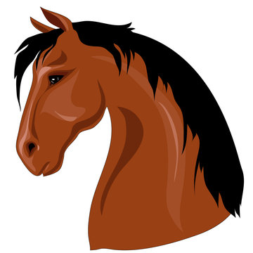 Horse Head Cartoon Images – Browse 46,011 Stock Photos, Vectors, and Video  | Adobe Stock