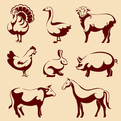 Farm animals