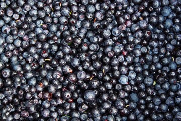 Blueberries