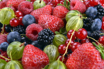 Fototapeta na wymiar different fresh berries