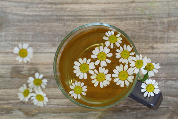 Obraz na płótnie Canvas chamomile tea, chamomile flowers with copy space