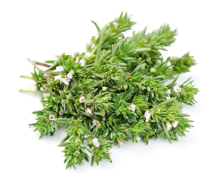 Thyme fresh herb