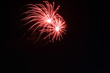Fototapeta premium Feu d' artifice 8