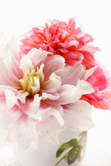 Fototapeta premium Summer flowers