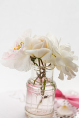 Rose in the vase