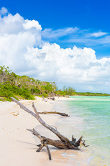 Fototapeta na wymiar Virgin plaża w Coco Key (Cayo Coco) na Kubie