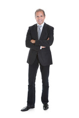 Portrait Of Happy Businessman