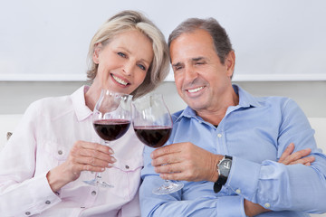 Portrait Of Mature Couple Toasting With Wine