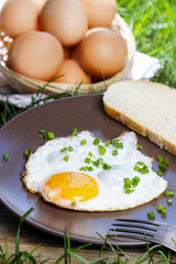 Breakfast on the grass. Fried egg on brown plate