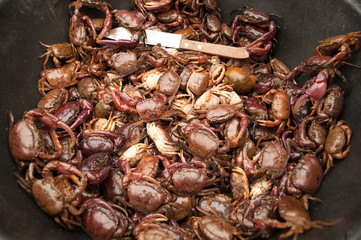 creek crab