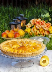 Round apricot cake on cake stand. Garden party, selective focus