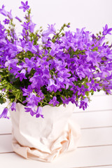 seasonal summer purple flower decoration