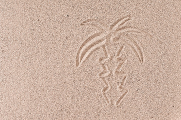 Palm on sand