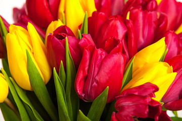 Fototapeta premium Closeup of bouquet of tulips over white