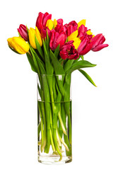 Bouquet of tulips over white