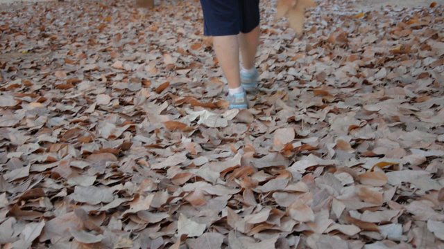 Lonely woman walking on leaf litter in the park
