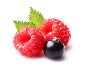 Raspberry with blackcurrant © Dionisvera
