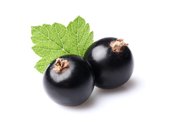 Two currants with leaf