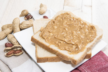 Peanut Butter Sandwich