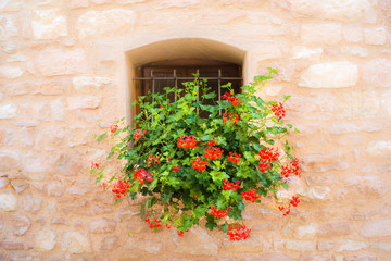 Fototapeta na wymiar Romantyczny okno z kwiatami