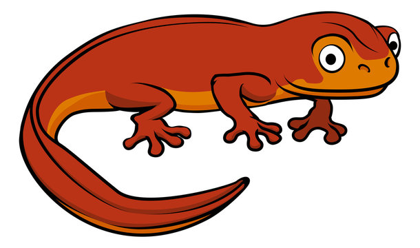 Cartoon Newt