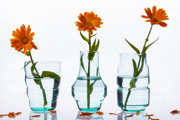 Three vase on white background.