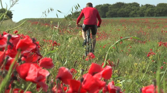 passage d'un vtt dans les champs