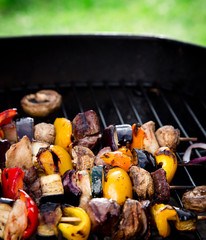 Delicious Meat spits