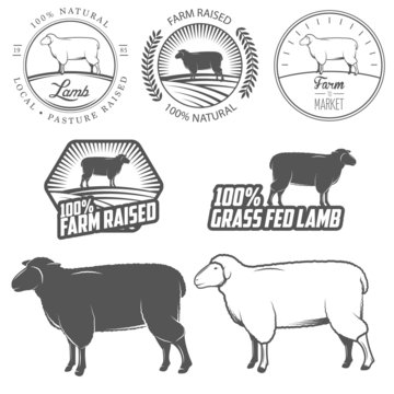 Set of premium lamb labels, badges and design elements