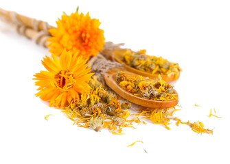 Fresh and dried calendula flowers in wooden spoons isolated