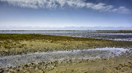 Wadden sea from the island Mando, Denmark