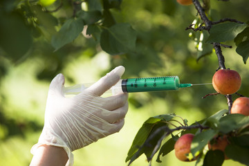 GMO fruit - obrazy, fototapety, plakaty