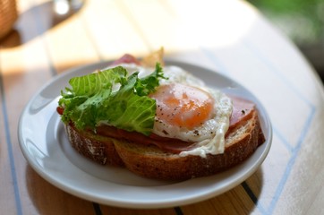 オープンサンドイッチ