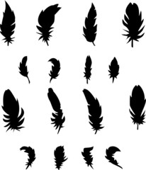 Feathers-vector set