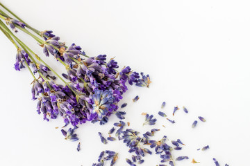 Lavendel auf weiß mit Blüten