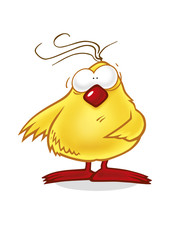 chicken with big eyes