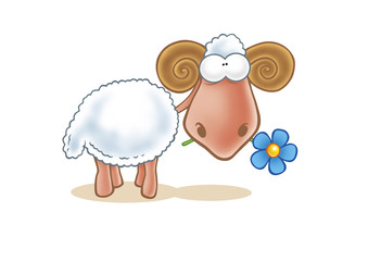 sheep with blue flower