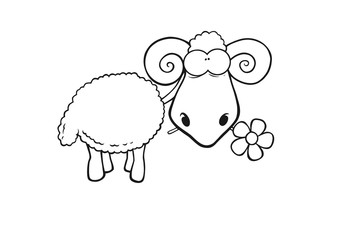 sheep with flower
