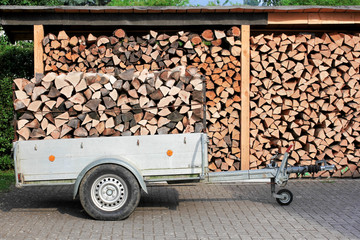 Hänger und Unterstand mit Brennholz, firewood