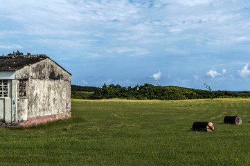 Obraz premium Barbados Nature