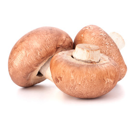 Brown champignon mushroom