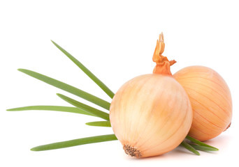 Onion vegetable