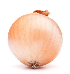 gold onion bulb