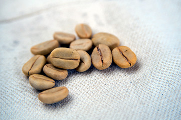 raw coffee seeds