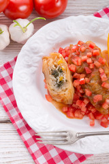 Vegetarian cabbage rolls with spinach and salsa